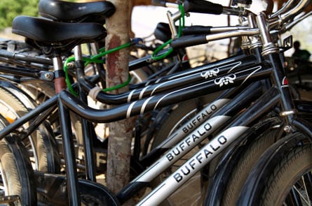 buffalo bicyles