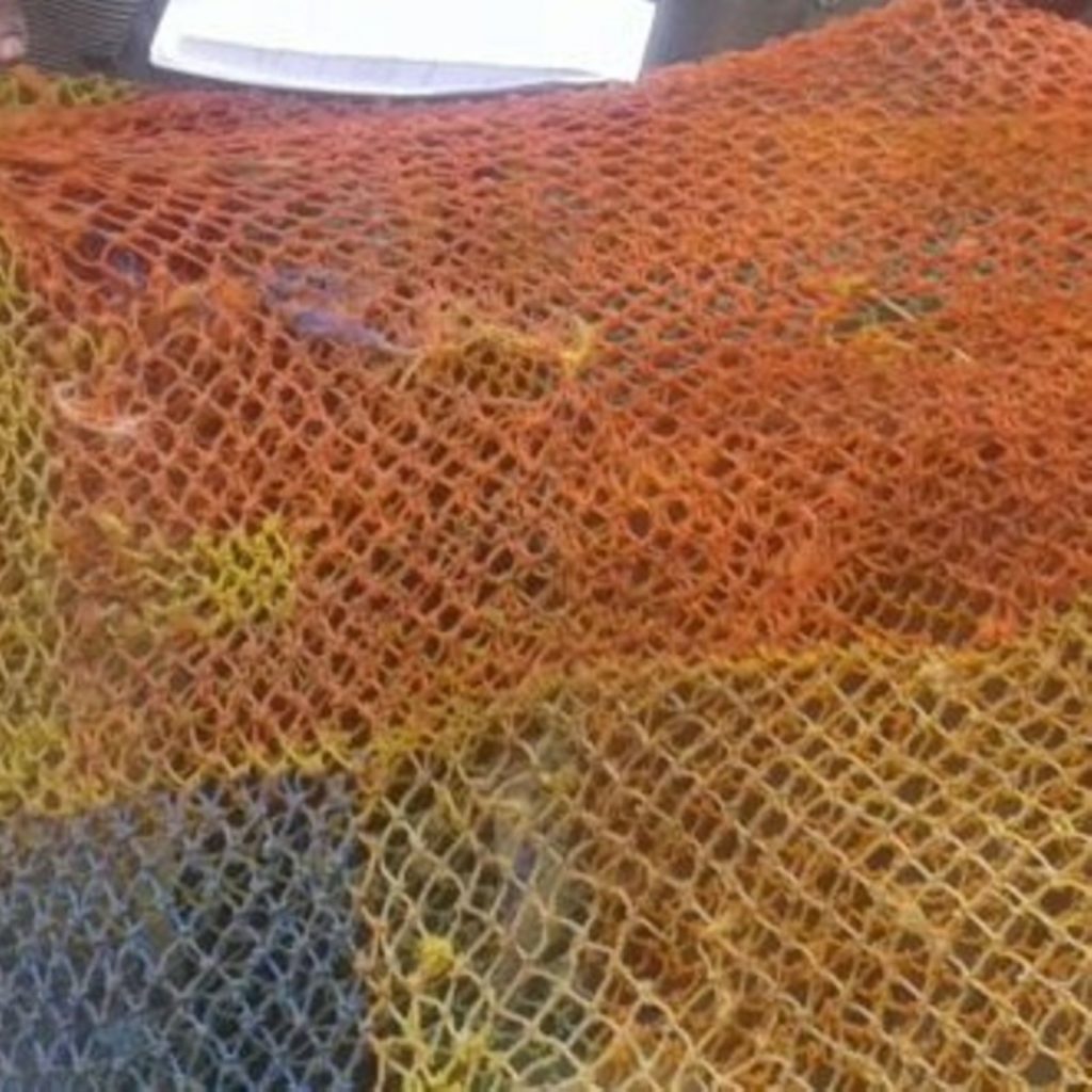 nyavu