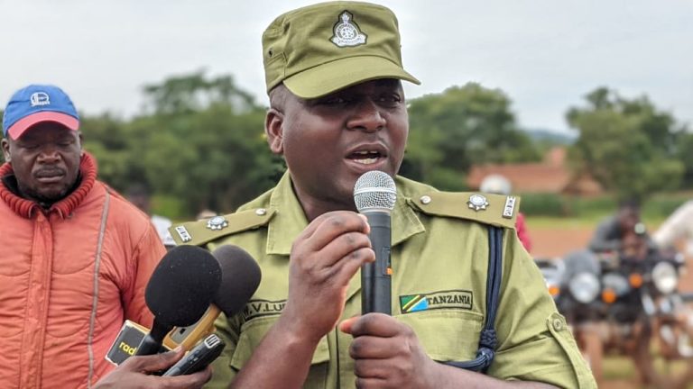 WhatsApp Image 2026-02-10 at 16.35.51