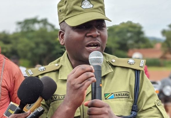 WhatsApp Image 2026-02-10 at 16.35.51