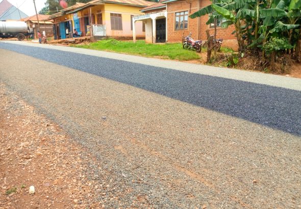 WhatsApp Image 2026-03-12 at 15.13.14