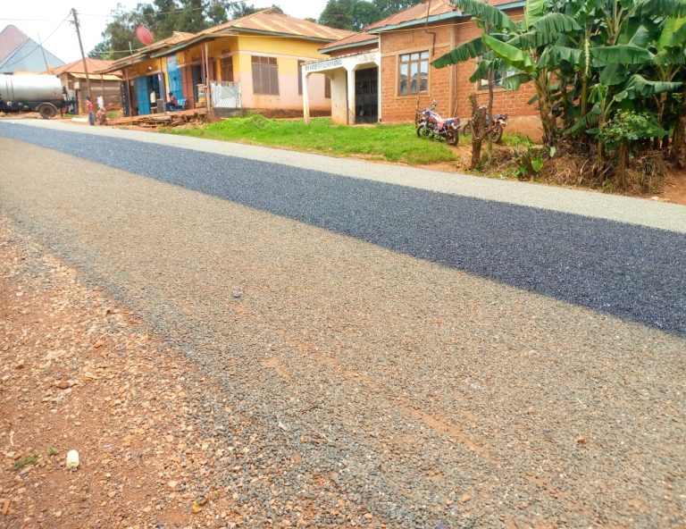 WhatsApp Image 2026-03-12 at 15.13.14