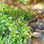 WhatsApp Image 2026-03-13 at 13.41.21