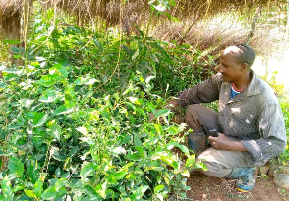 WhatsApp Image 2026-03-13 at 13.41.21