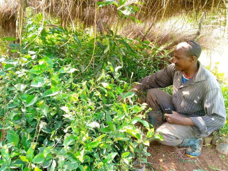 WhatsApp Image 2026-03-13 at 13.41.21