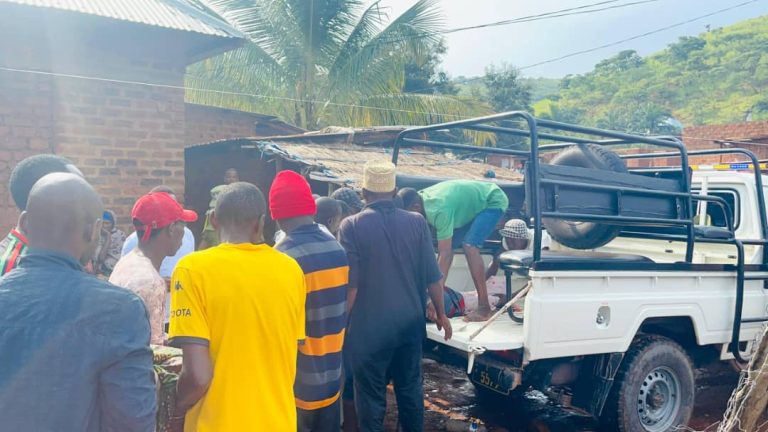 WhatsApp Image 2026-03-13 at 13.55.40 (1)