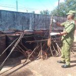 WhatsApp Image 2026-04-21 at 10.37.25 (1)