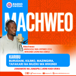 machweo-poster-card